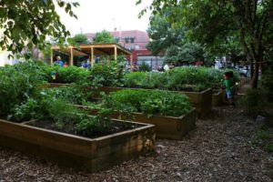 Above: Willis Avenue Community Garden.