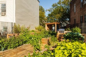 Above: Williams Avenue Garden (photo credit: Anna Yatskevich)